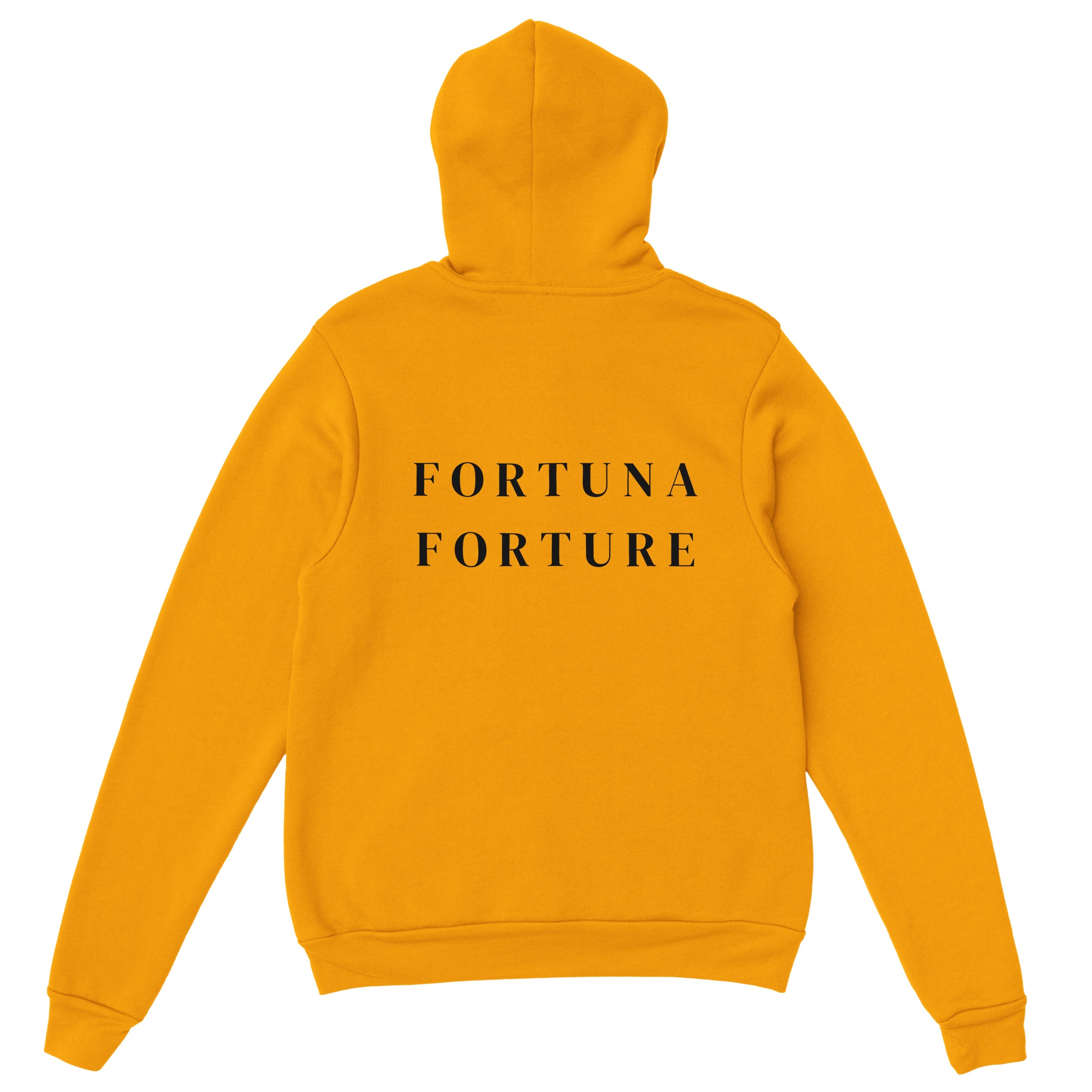 “魔法を纏う” Unisex Oversized Hoodie